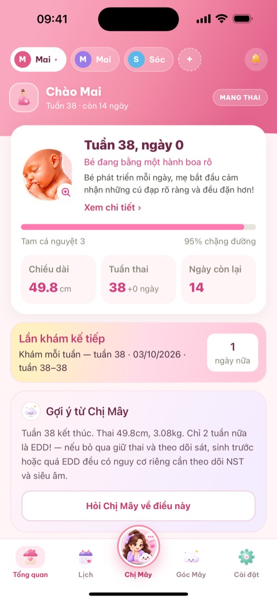 Màn hình chính giai đoạn mang thai của BabiMami