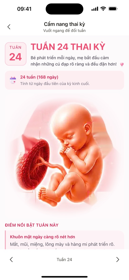 Cẩm nang thai kỳ theo tuần